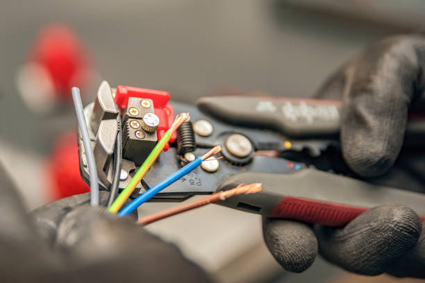Best Electrical Upgrades for Homes  in Webberville, MI