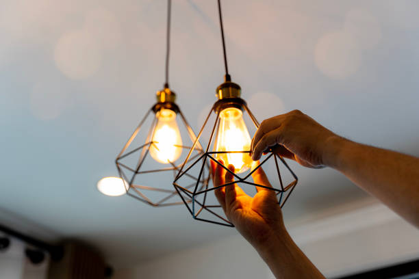Best Industrial Electrical Services  in Webberville, MI