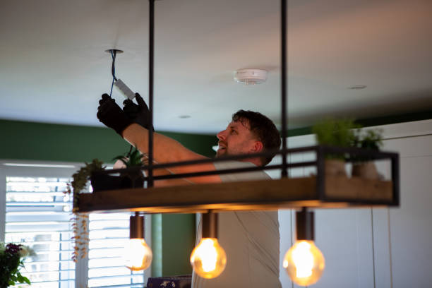 Best Outdoor Lighting Installation  in Webberville, MI